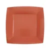 Image de 10 assiettes carton bio carrées 23cm rouge brique - chalayer 000740800000051