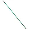 Image de Daiwa Canne Bolognaise Sensor Bombette 4.20 m