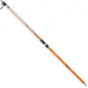 Image de Daiwa Canne De Surfcasting Télescopique Proteus 4.20 m