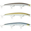 Image de Daiwa Minnow Tournament Shiner Sinking 30.5g 170 Mm