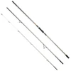Image de Daiwa Canne à Surfcasting Shorecast X