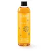 Image de Recharge de parfum Esteban Ambre 250 ml