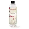 Image de Recharge de parfum Esteban Esprit de thé 250 ml
