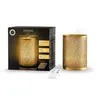 Image de Diffuseur brume de parfum Esteban Edition Or et lumière