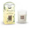 Image de Bougie Parfumée Jasmin d'été 180g - Esteban - Blanc - Cire