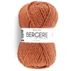Image de Pelote ALASKA 100 - Bergère de France(...) - CUIVRE