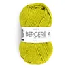 Image de Pelote IDEALE 4 - Bergère de France(...) - KIWI
