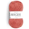 Image de Pelote IDEALE BB - Bergère de France(...) - AUBEPINE