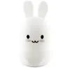 Image de Veilleuse - Bunny Light - Pylones