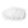 Image de Pochette De 100 Plumes 10g 5-10cm Blanc - Blanc