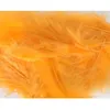 Image de pochette plumes 10g 5-10cm