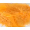 Image de pochette plumes 10g 5-10cm