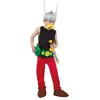 Image de Costume Licence Officielle Asterix © Enfant - Multicolores - 140 cm