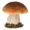 Image de champignon déco socle bois mousse 10x10.5cm brun - chaks 90399
