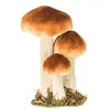 Image de 3 champignons brun blanc sur socle 18 cm - 90406 Chaks
