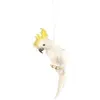 Image de perroquet blanc crête jaune 11x45cm