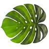 Image de feuille exotique philo monstera mousse 45.5x38.5cm - chaks 10367