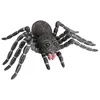 Image de araignée noire latex 46 x 28 cm - chaks 11023