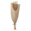 Image de bouquet fleurs de lin séchées 60cm naturel - 11578 Chaks