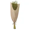 Image de bouquet fleurs de lin séchées 60cm vert clair - chaks 11578-20