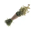 Image de bouquet phalaris séchés naturel 70cm 130g vert - chaks 11905