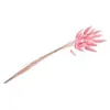 Image de bouquet 25 tiges lagurus séchés 50-60cm rose - chaks 11950-04