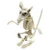 Image de rat squelette 20x26x29cm - chaks 12121