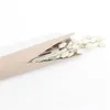 Image de bouquet phalaris séchés misty 64cm blanc - chaks 11905-00