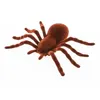Image de araignée tarentule déco jouet 18x11.5x3.5cm brun - générique 13104