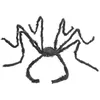 Image de araignée géante velue décorative 2mx24cm noir - générique 13108