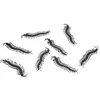 Image de 8 mille-pattes déco plastique 14x3.5cm noir - générique 13119