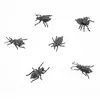 Image de 6 insectes déco plastique 6x4cm noir - générique 13121