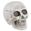 Image de tête de mort déco plastique 9x13x10.5cm - générique 13787