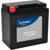 Image de TECNIUM Batterie sans entretien activé usine - BTX14