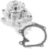 Image de Pompe À Eau Nps T151a22
