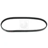 Image de Courroie D'accessoires Nps H111a28