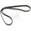 Image de Courroie D'accessoires Nps H111a29