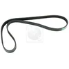 Image de Courroie D'accessoires Nps H111a44