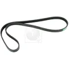 Image de Courroie D'accessoires Nps H111a47