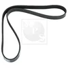 Image de Courroie D'accessoires Nps H111a48