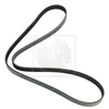 Image de Courroie D'accessoires Nps H111a49