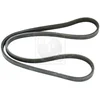Image de Courroie D'accessoires Nps H111a50