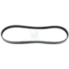 Image de Courroie D'accessoires Nps H111a56