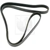 Image de Courroie D'accessoires Nps H111i09