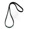 Image de Courroie D'accessoires Nps H111i11