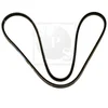 Image de Courroie D'accessoires Nps I111u03
