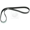 Image de Courroie D'accessoires Nps I111u07