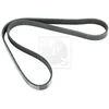 Image de Courroie D'accessoires Nps I111u09