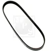 Image de Courroie D'accessoires Nps I111u10