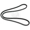 Image de Courroie D'accessoires Nps M111a58